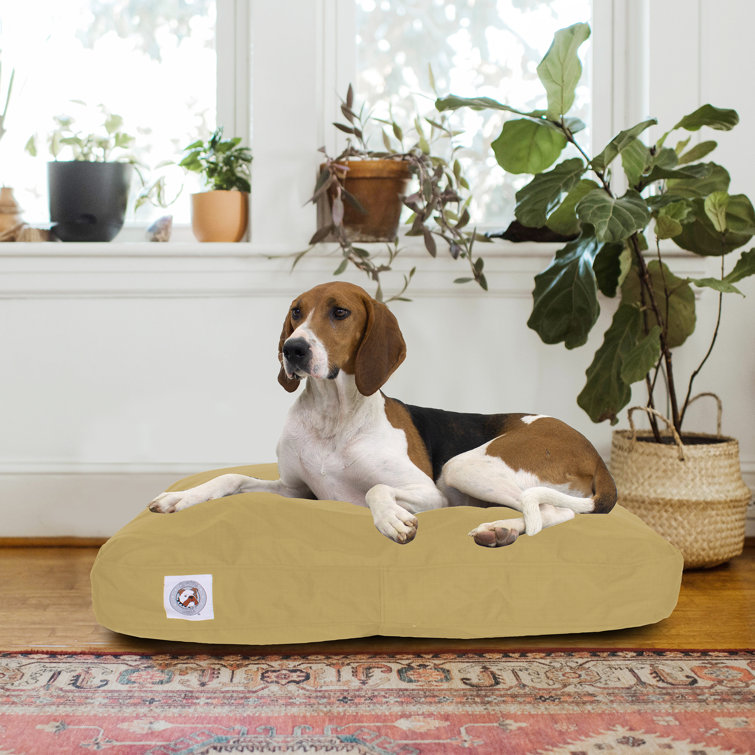 Carolina pet company dog beds hotsell